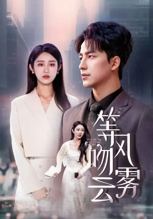 国产悬疑剧长夜将明海报